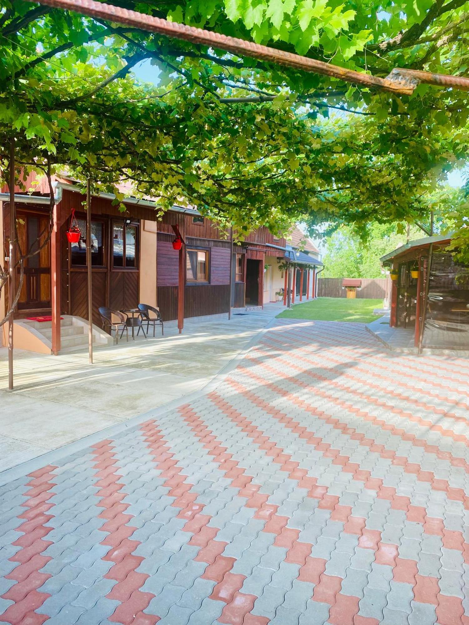 Отель Casa Victoria Кырцишоара Экстерьер фото
